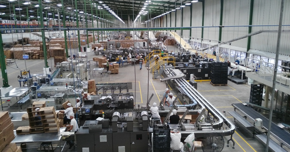 Mantenimientos Líneas de Combustión en Producción – Industrias Alimenticias Fagal S.R.L. / Nestlé Bolivia, Santa Cruz de la Sierra